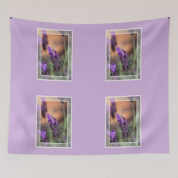 Item preview, Balancing Act designed and sold by Joy Watson - Natural Light Photography .
