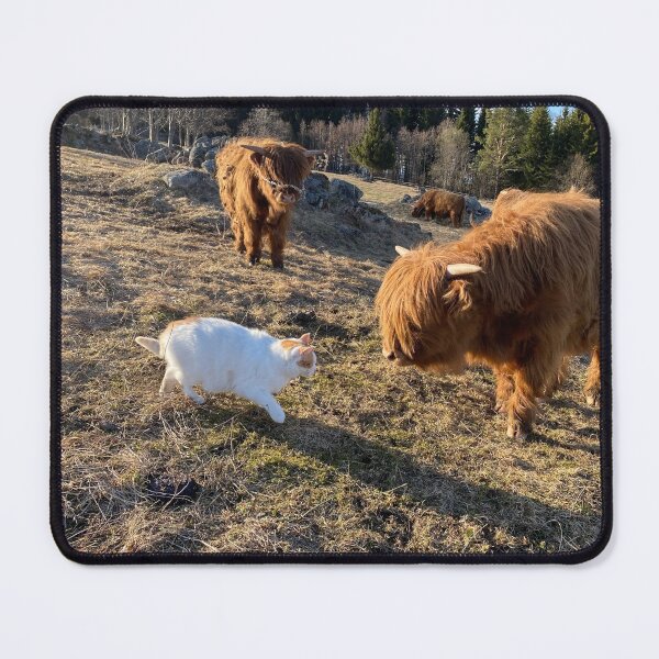 Item preview, Scottish Highland Cattle Calf and Cat 2818 designed and sold by SaarelaHighland.