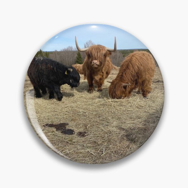 Artikelvorschau, Scottish Highland Cattle Cow and Calves 2821 entworfen und verkauft von SaarelaHighland.