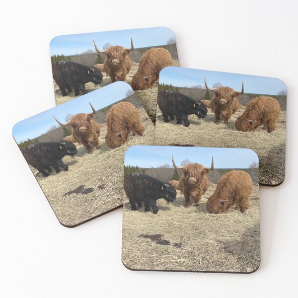Item preview, Scottish Highland Cattle Cow and Calves 2821 designed and sold by SaarelaHighland.