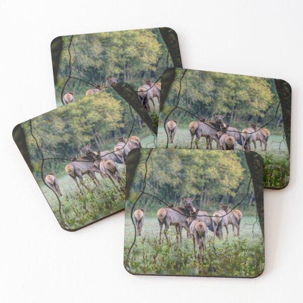 Item preview, Female Elk Herd Through The Woods designed and sold by mljdwhite.