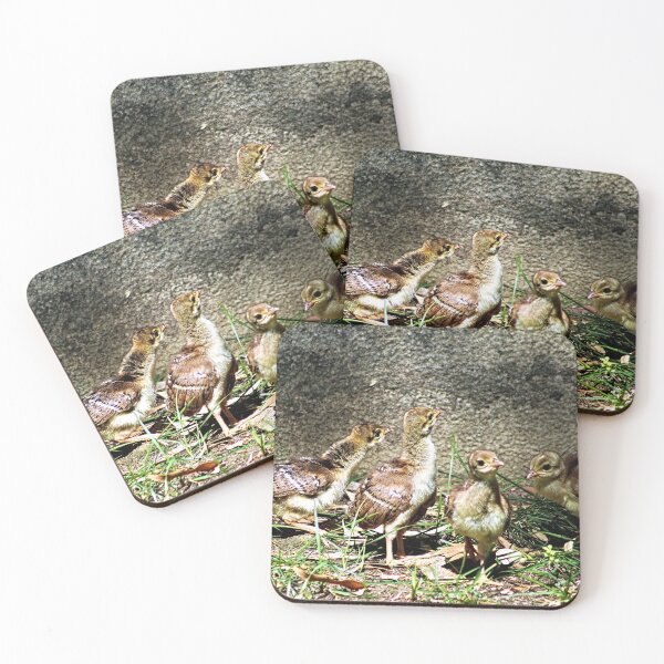 Item preview, Peacock Chicks in a Garden designed and sold by worldways.