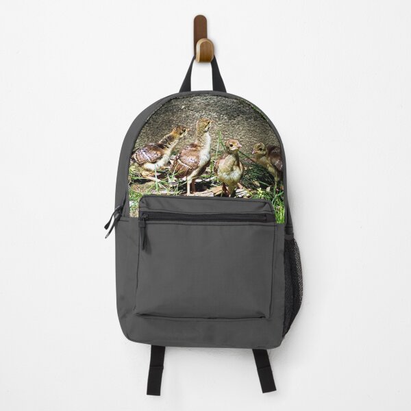 Item preview, Peacock Chicks in a Garden designed and sold by worldways.