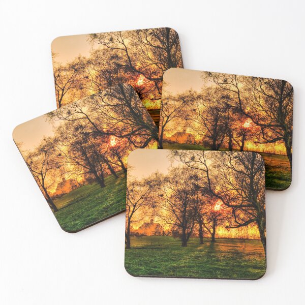 Item preview, Misty Morning Golden Sunrise Glow designed and sold by Paul Thompson Photography.