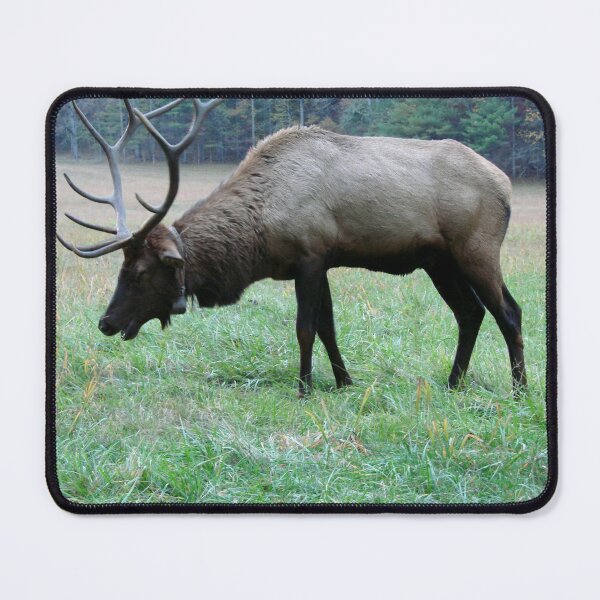 Item preview, The Laughing Elk designed and sold by Jean Gregory Evans.
