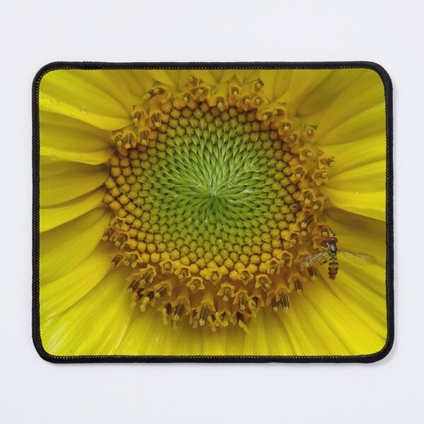 Item preview, I'LL FOLLOW THE SUN designed and sold by Jean Gregory Evans.