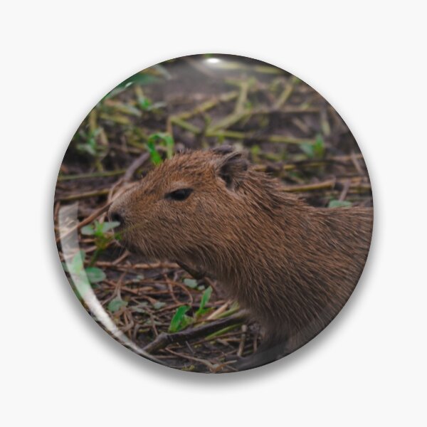 Item preview, Capybara baby designed and sold by dvcampos.