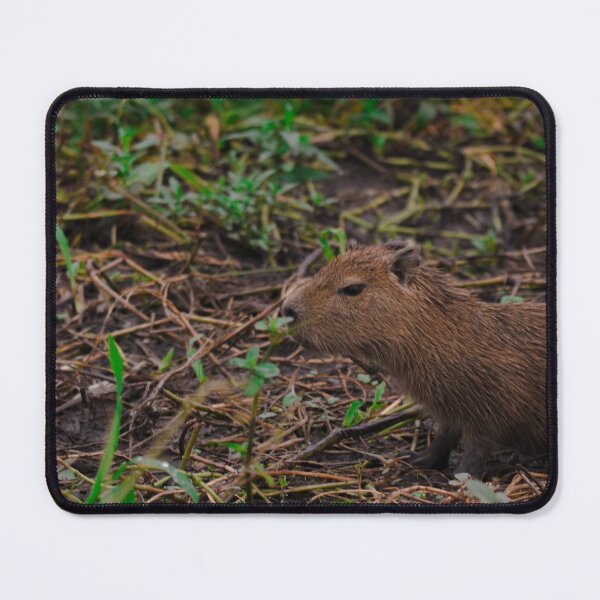 Item preview, Capybara baby designed and sold by dvcampos.