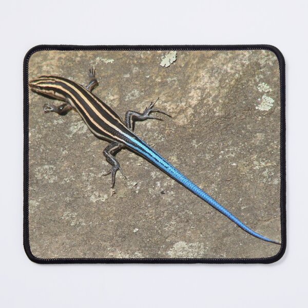 Item preview, Blue Tailed Lizard I designed and sold by Jean Gregory Evans.