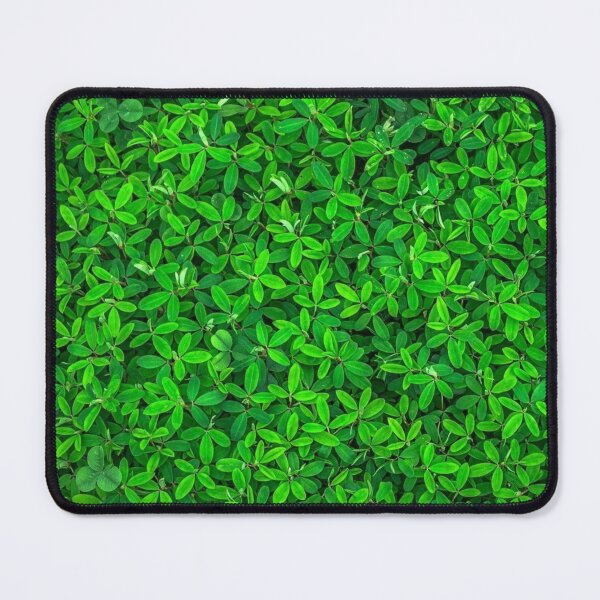 Item preview, Bush designed and sold by Seiya Kipgen.