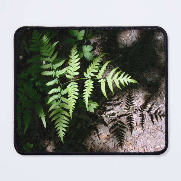 Item preview, shadow and fern designed and sold by Jean Gregory Evans.