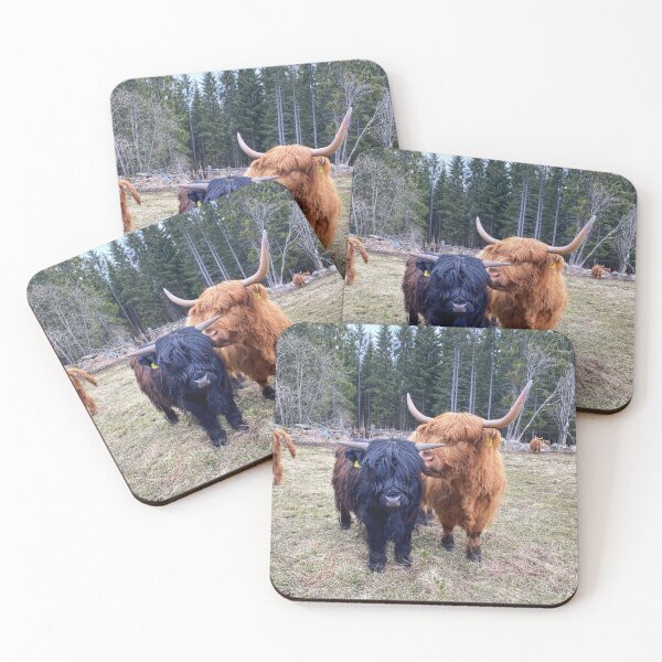 Artikelvorschau, Scottish Highland Cattle Calf and Cow 2828 entworfen und verkauft von SaarelaHighland.