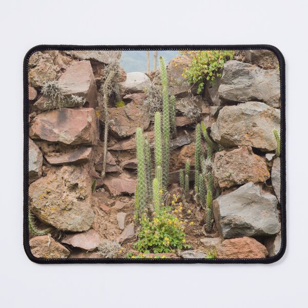 Item preview, Cactus growing from ancient ruins designed and sold by arianjacobsfc.