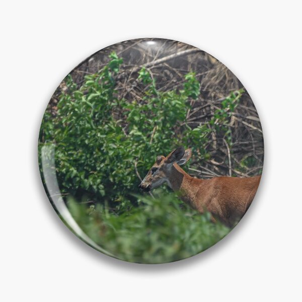 Item preview, Marsh Deer designed and sold by dvcampos.