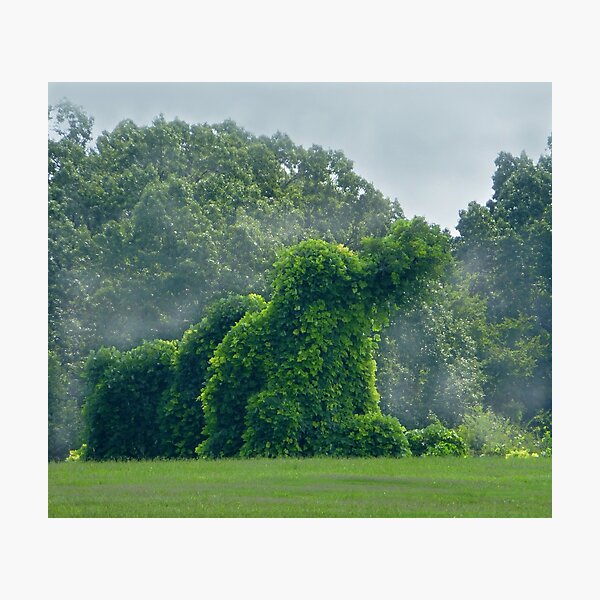 Item preview, The Giant Kudzu Monster designed and sold by WildestArt.
