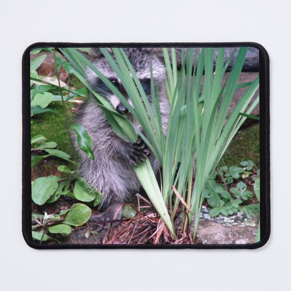 Item preview, Peekaboo! designed and sold by Jean Gregory Evans.