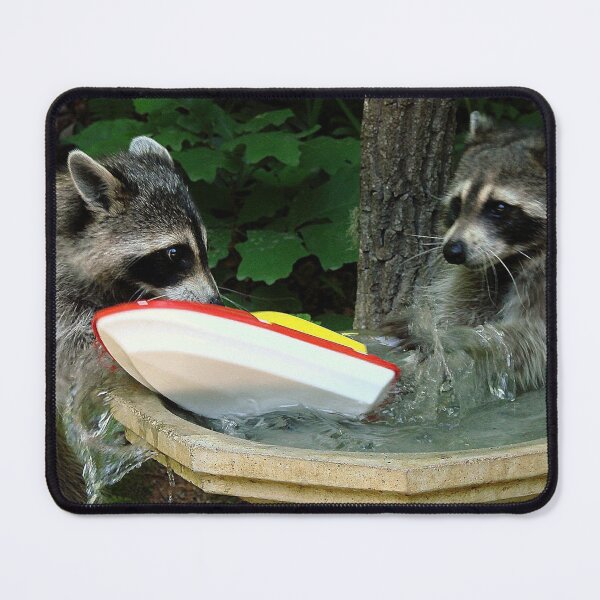 Item preview, Raccoonzilla and Speeding Boat designed and sold by Jean Gregory Evans.