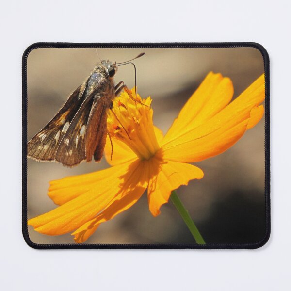 Item preview, Skipper and September Flower designed and sold by Jean Gregory Evans.