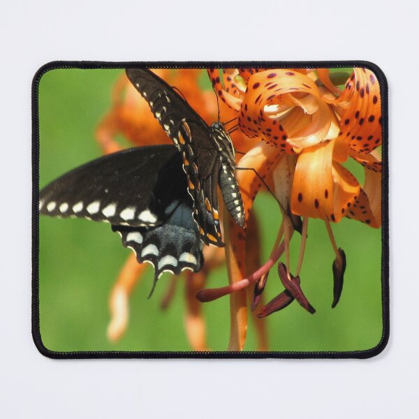 Item preview, Dance Of Swallowtail and Tiger Lily designed and sold by Jean Gregory Evans.