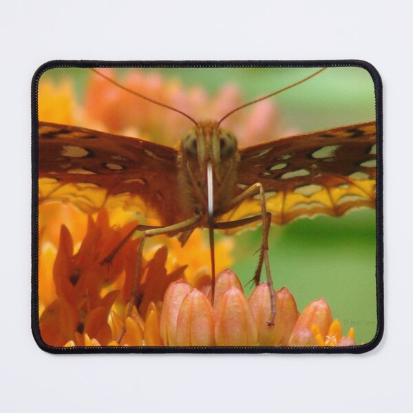 Item preview, Great Spangled Fritillary Portrait designed and sold by Jean Gregory Evans.