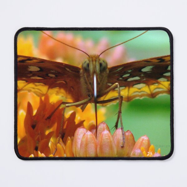Item preview, Great Spangled Fritillary Pair designed and sold by Jean Gregory Evans.