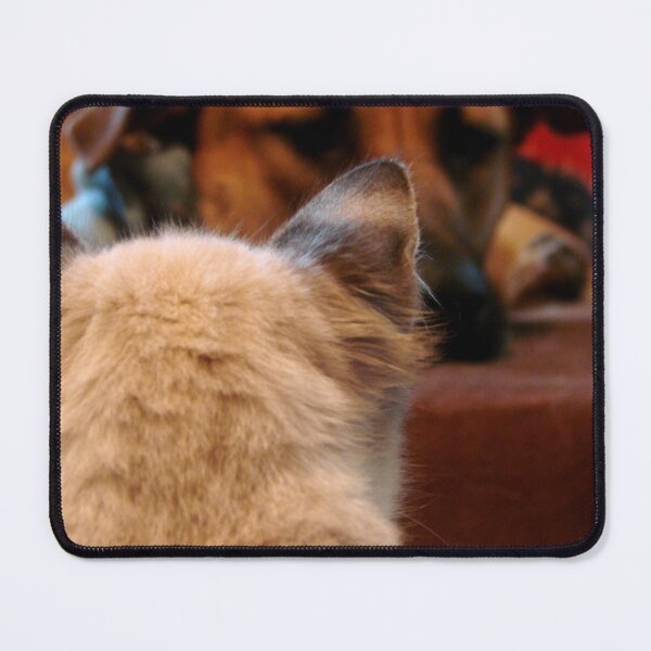 Item preview, Iz keepin my eyes on youz, Buster designed and sold by Jean Gregory Evans.