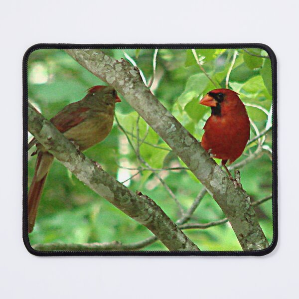 Item preview, Northern Cardinal Pair - female and male designed and sold by Jean Gregory Evans.