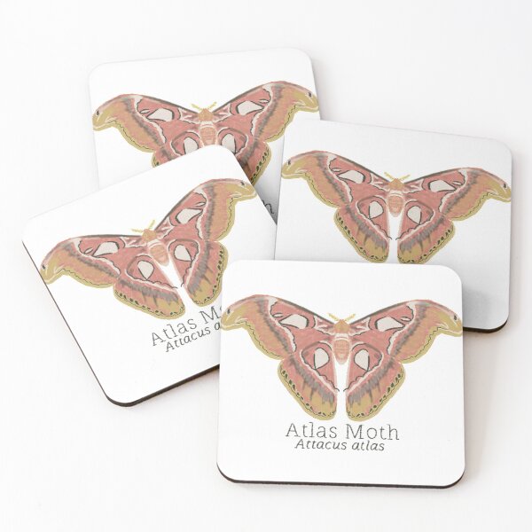 Item preview, Atlas Moth designed and sold by WyrdandWoven.