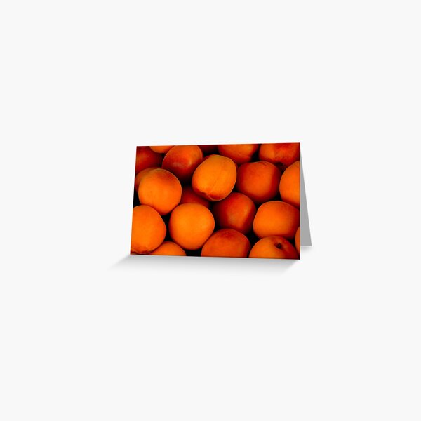 Oranges Painting - Chelzart  Orange painting, Simple acrylic paintings,  Fruit painting