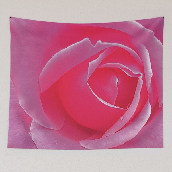 Item preview, Roses are pink? designed and sold by BuskinGalleries.