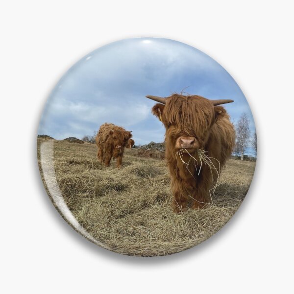 Artikelvorschau, Scottish Highland Cattle Calves 2832 entworfen und verkauft von SaarelaHighland.