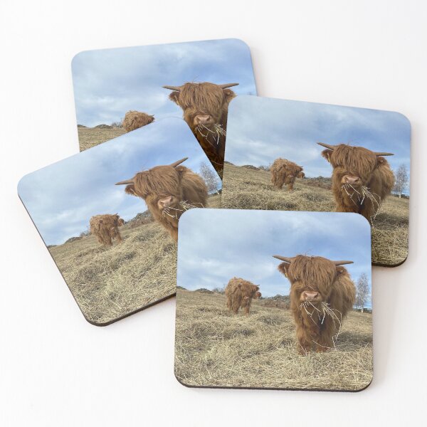 Item preview, Scottish Highland Cattle Calves 2832 designed and sold by SaarelaHighland.