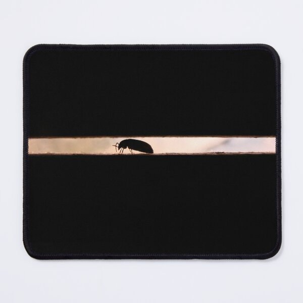 Item preview, Ground Beetle - No Pun Intended designed and sold by Jean Gregory Evans.