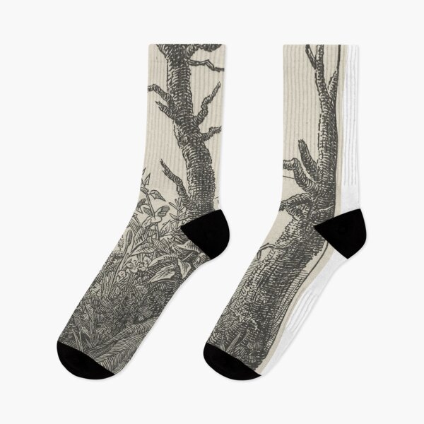 Item preview, Woman Seated under a Spider's Web Melancholy - Caspar David Friedrich designed and sold by Vintage Designs +.