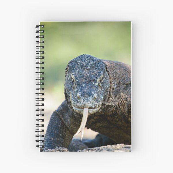 Komodo Dragon Spiral Notebook
