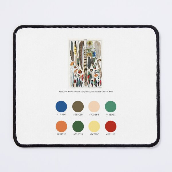 Item preview, Colour Palette of Plumes - Feathers (1900) by Adolphe Millot (1857-1921) designed and sold by CoffeewithAnh.
