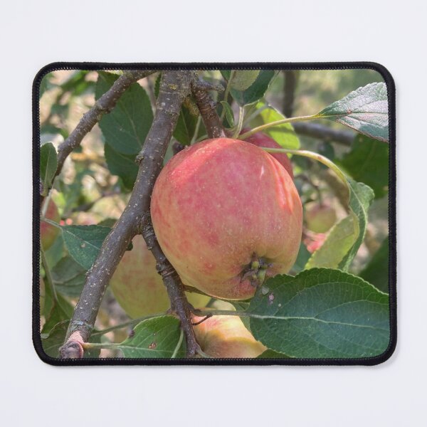 Item preview, Apple Tree delights  designed and sold by OByD.