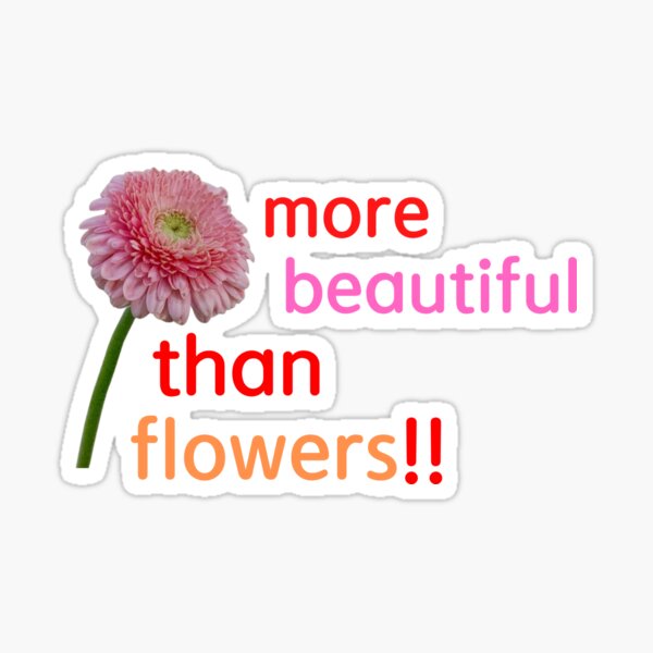 "More beautiful than flowers!!" Sticker for Sale by STEELLO Redbubble