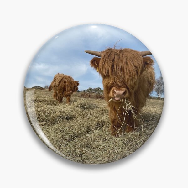 Artikelvorschau, Scottish Highland Cattle Calves 2833 entworfen und verkauft von SaarelaHighland.