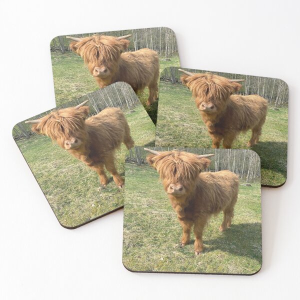 Artikelvorschau, Scottish Highland Cattle Calf 2837 entworfen und verkauft von SaarelaHighland.