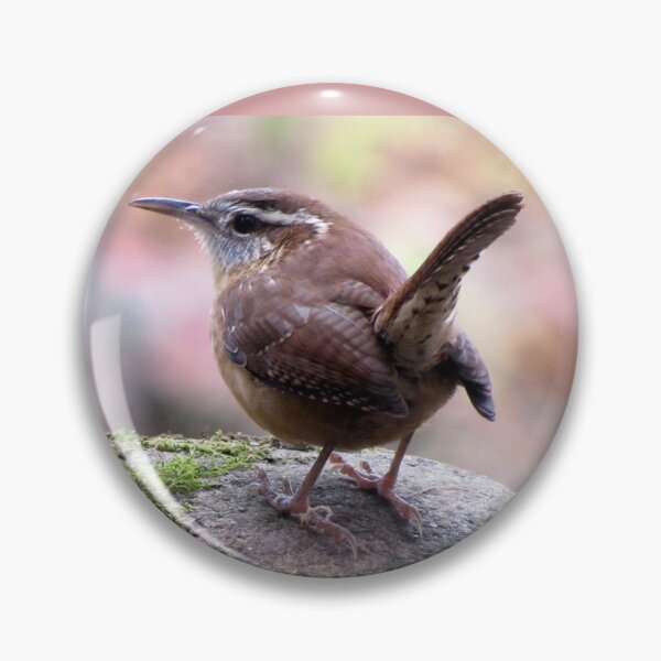 Item preview, Carolina Wren with Perky Tail designed and sold by Jean Gregory Evans.