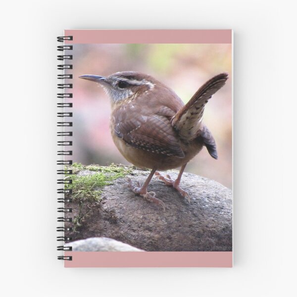 Item preview, Carolina Wren with Perky Tail designed and sold by Jean Gregory Evans.