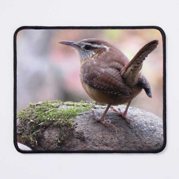 Item preview, Carolina Wren with Perky Tail designed and sold by Jean Gregory Evans.