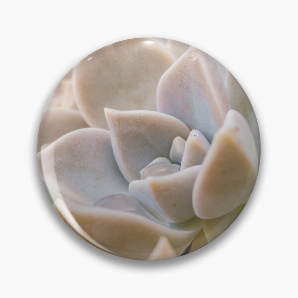Item preview, Succulent designed and sold by ocaso.