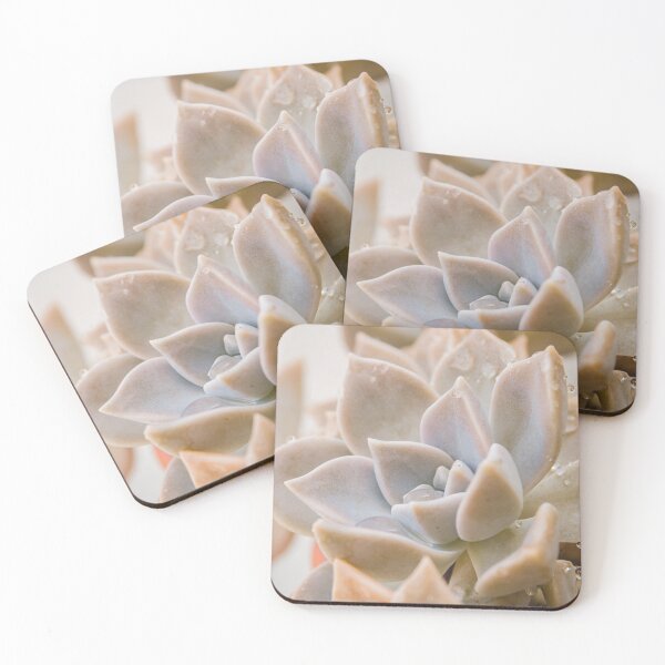 Item preview, Succulent designed and sold by ocaso.