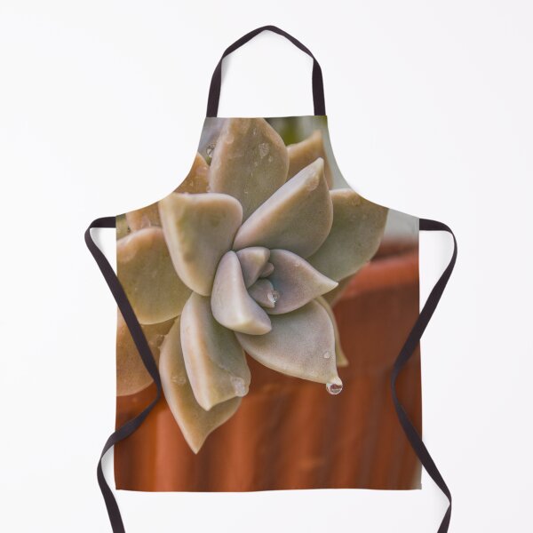 Item preview, Succulent designed and sold by ocaso.