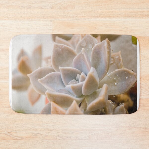 Item preview, Succulent designed and sold by ocaso.