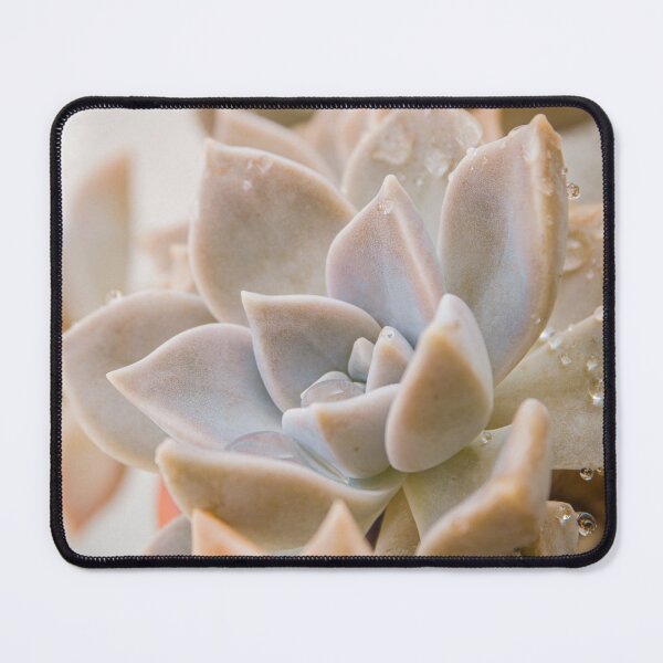 Item preview, Succulent designed and sold by ocaso.