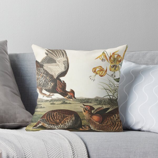 Item preview, Gran Prairie-Chicken - John James Audubon designed and sold by billythekidtees.