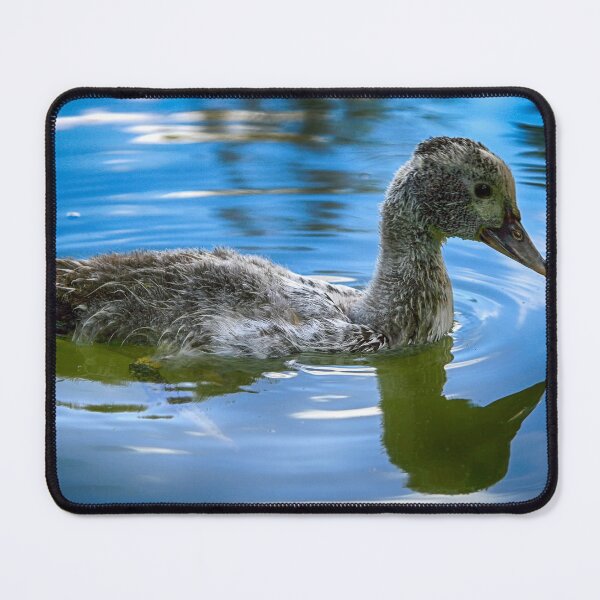 Item preview, Reflection Duck designed and sold by NunoPires.